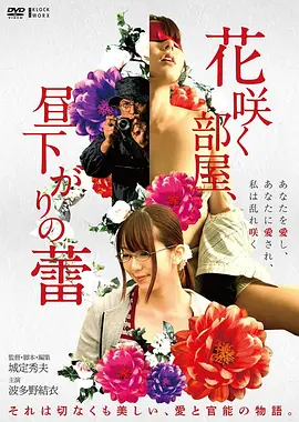 韩国伦理电影《处女心经》海报